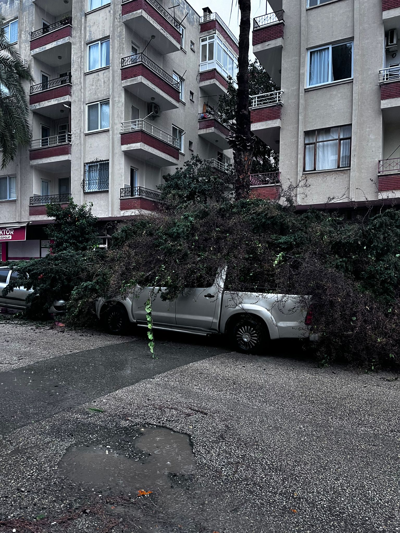 Whatsapp Image 2026 02 18 At 09.32.14 (1)