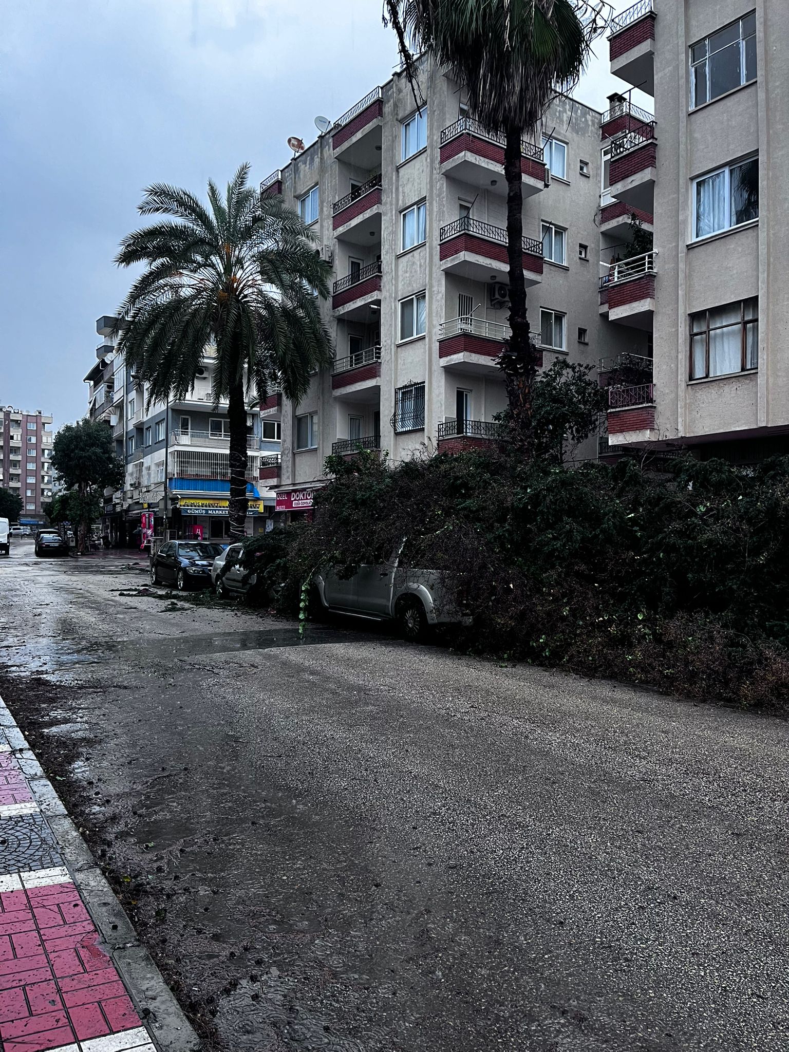 Whatsapp Image 2026 02 18 At 09.32.14 (2)