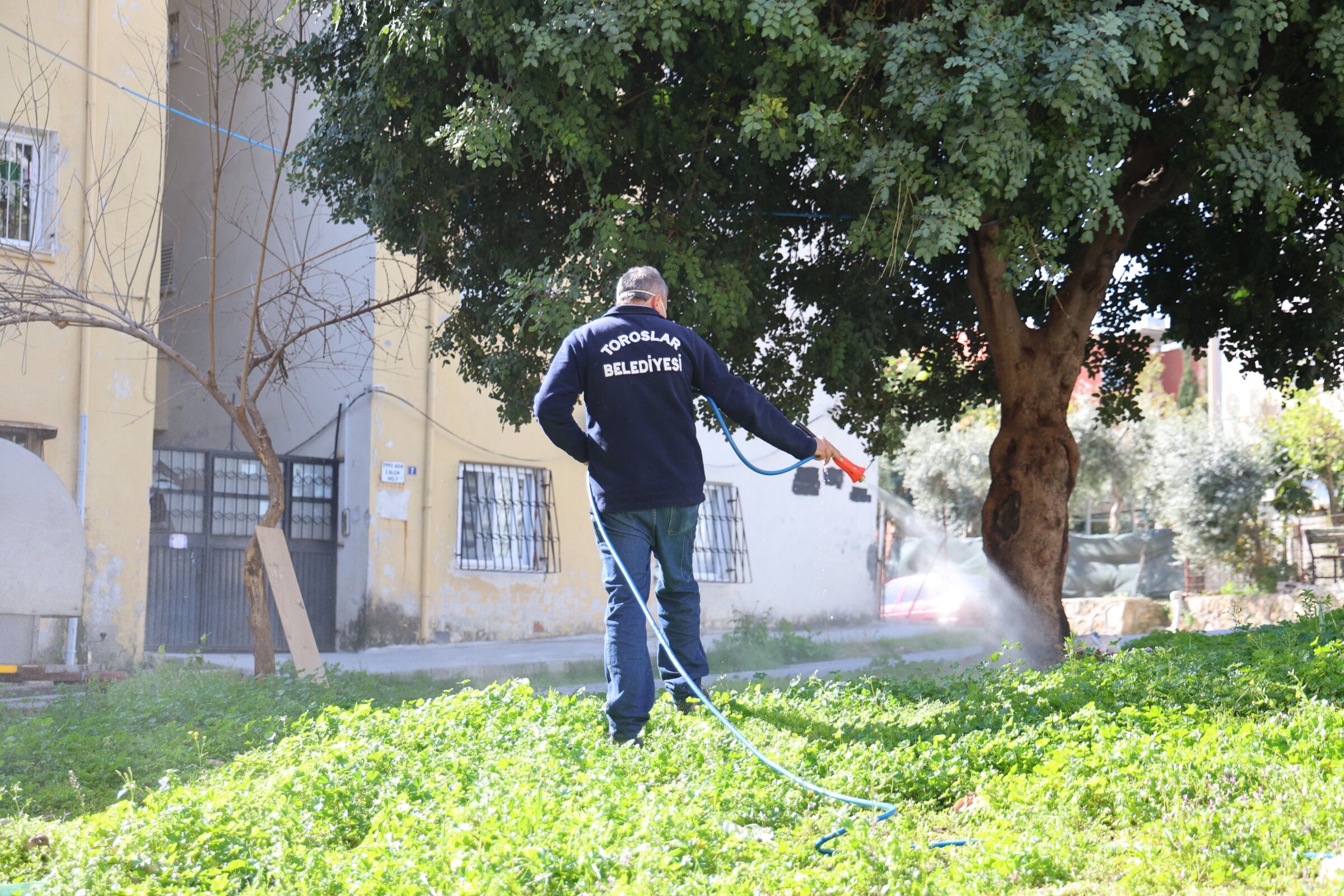 Ot Ilaçlama Çalışması (1)