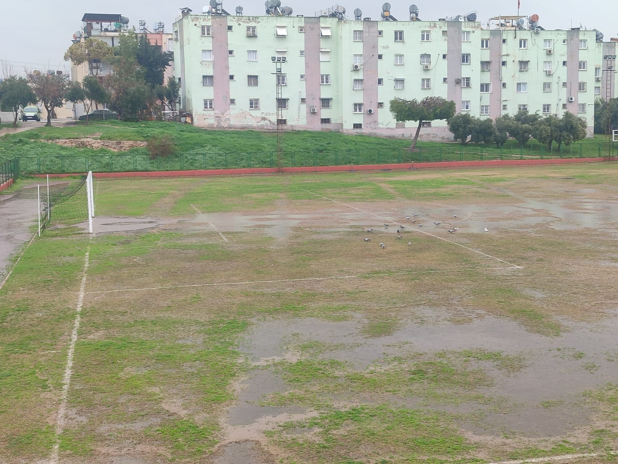 Whatsapp Image 2026 03 15 At 15.29.20