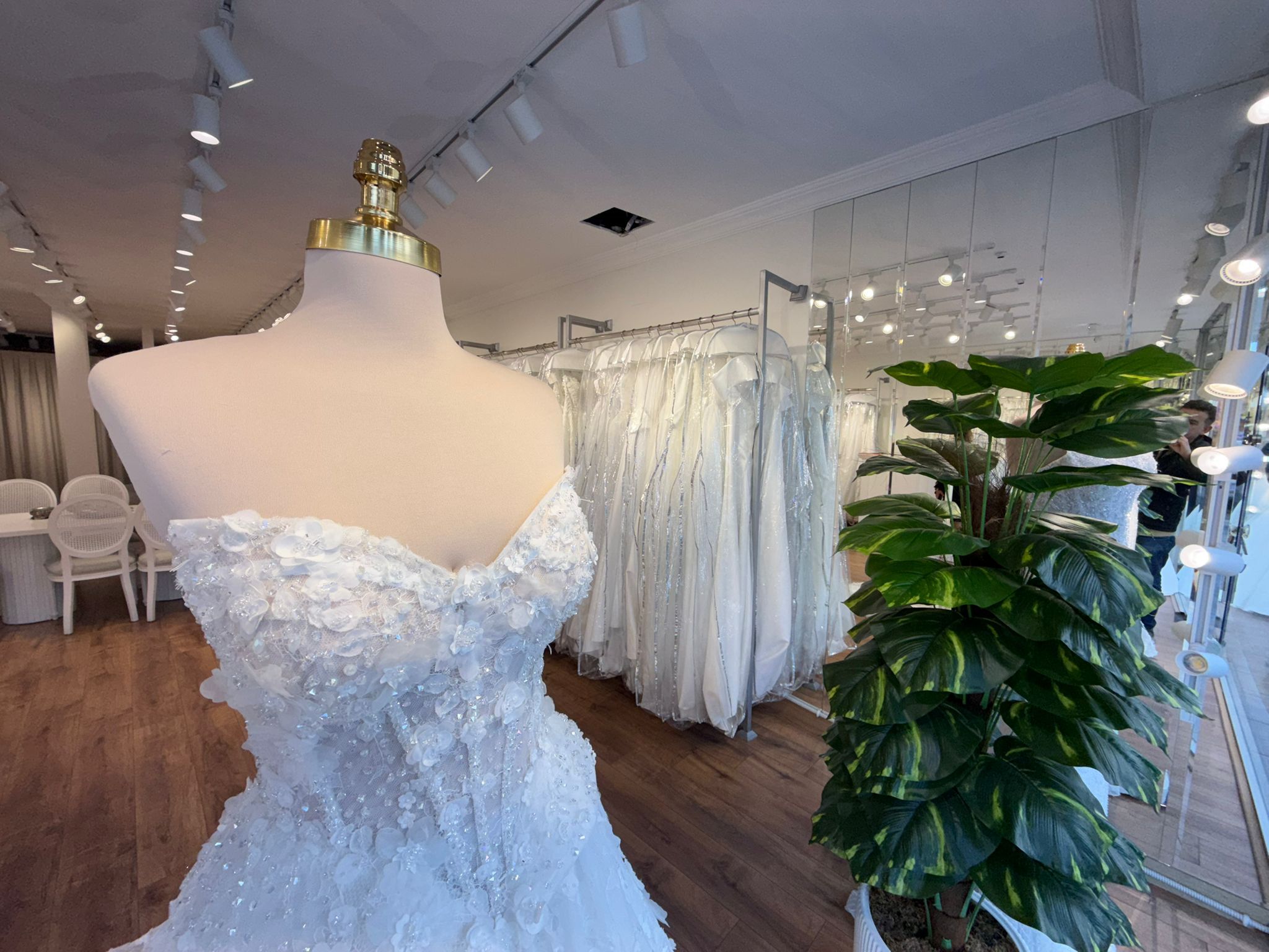 Whatsapp Image 2026 03 17 At 09.36.55