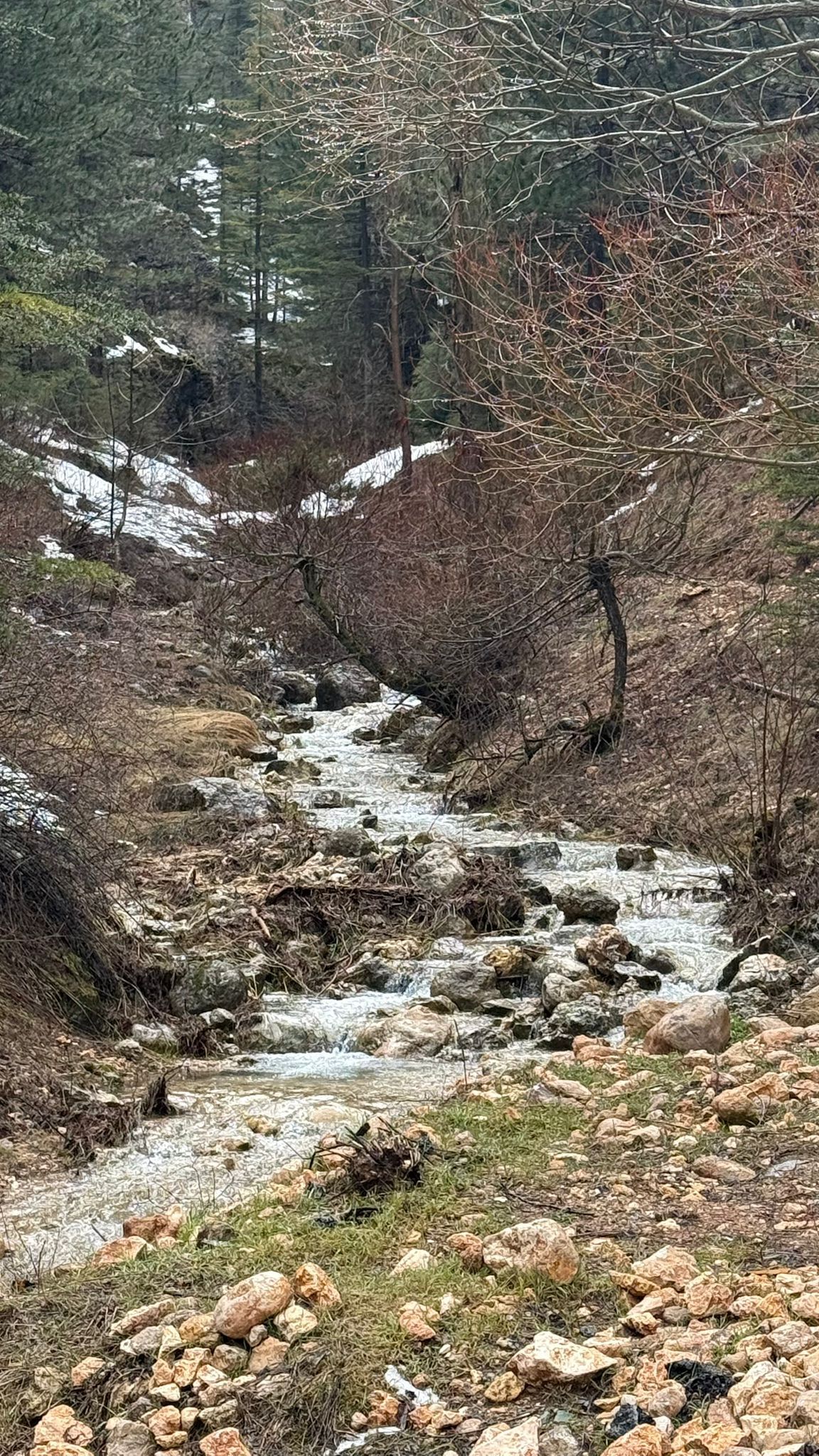 Whatsapp Image 2026 03 30 At 14.03.45 (5)