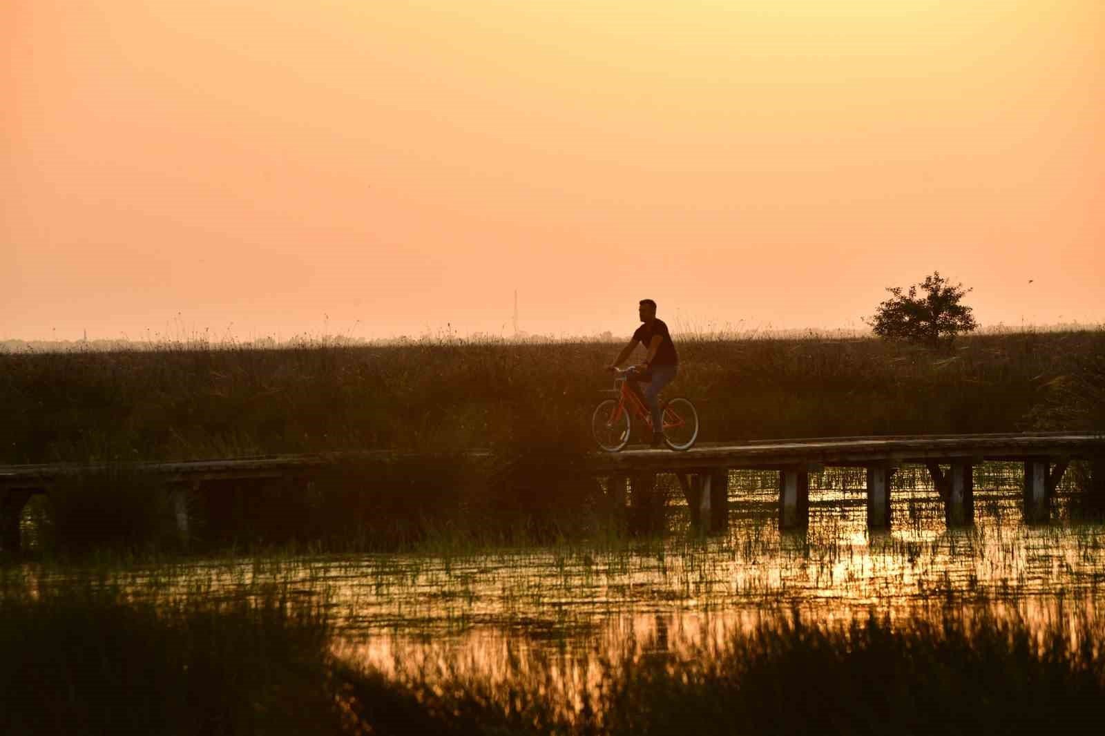 Kızılırmak Deltası Kuş Cenneti'nde bahar coşkusu