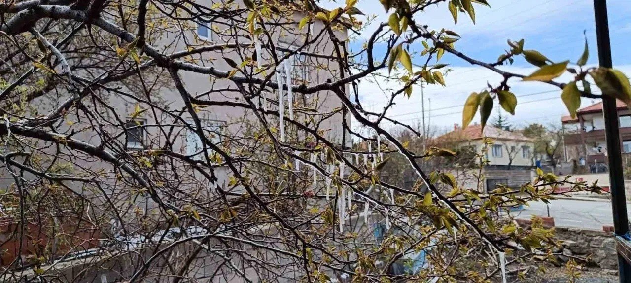 Yozgat'ta çiftçiler zirai don tehlikesine karşı uyarıldı