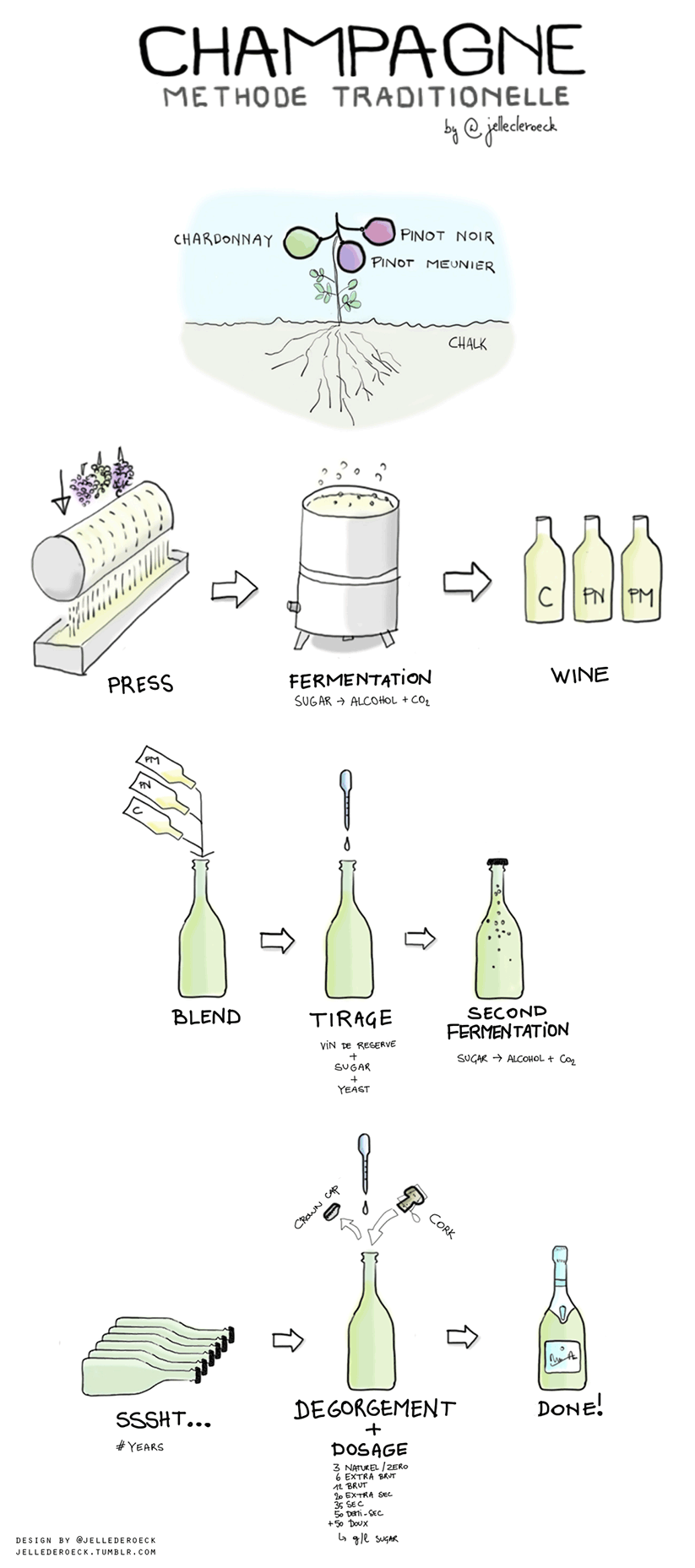 How Champagne Is Made Infographic-1