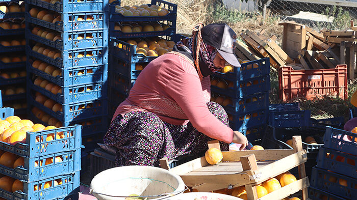 Mersinliciftciler (1)