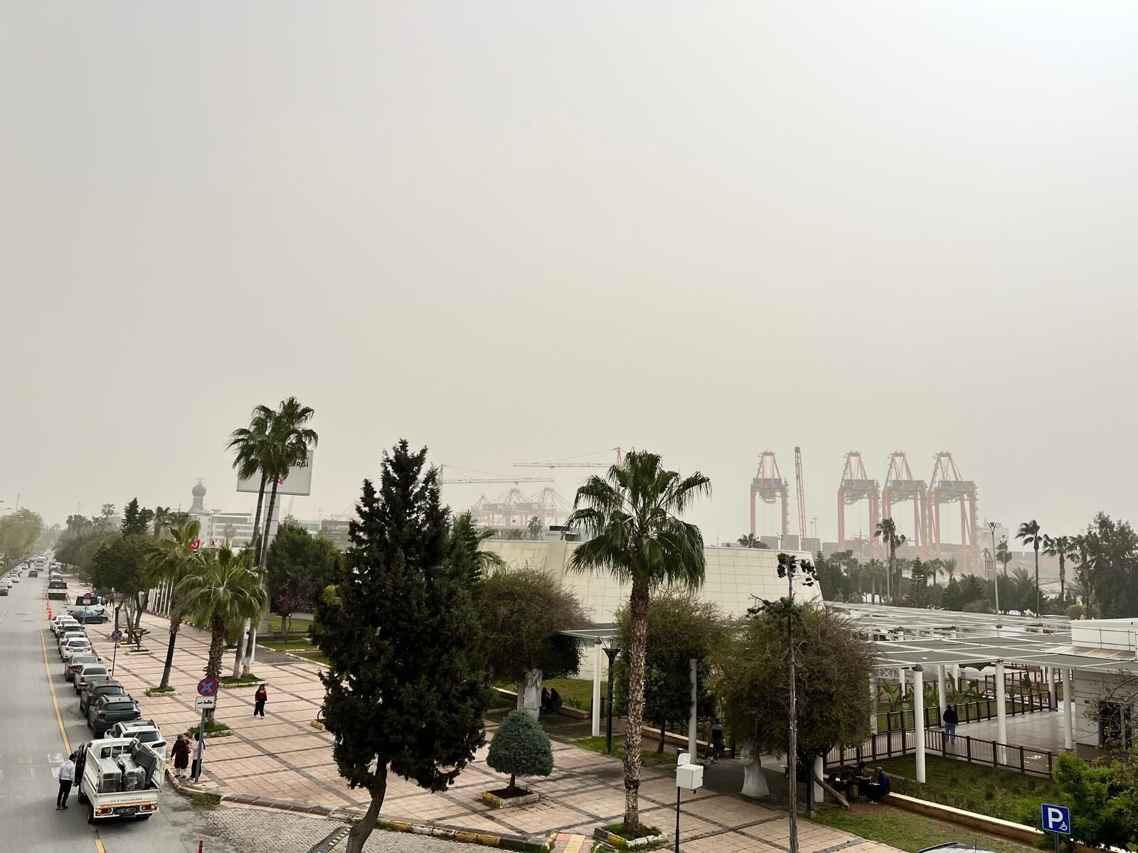 Whatsapp Image 2026 04 03 At 10.01.09 (4)