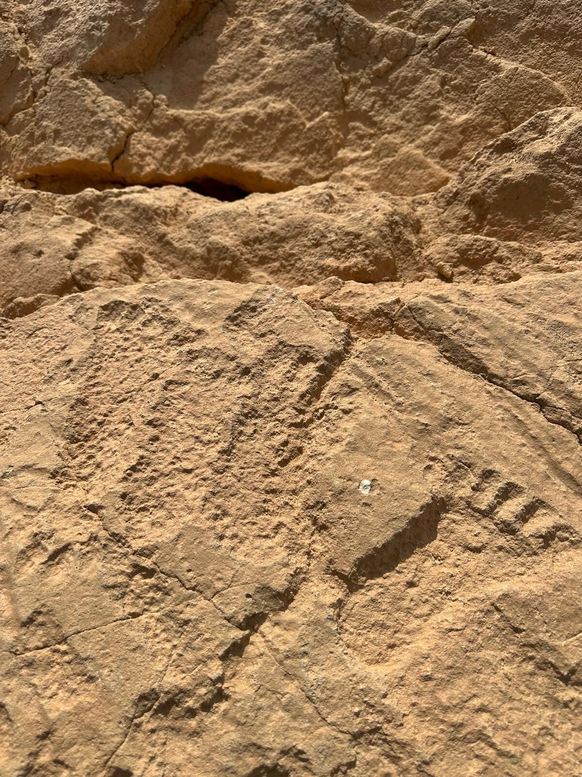 Whatsapp Image 2026 04 07 At 10.12.37 (3)