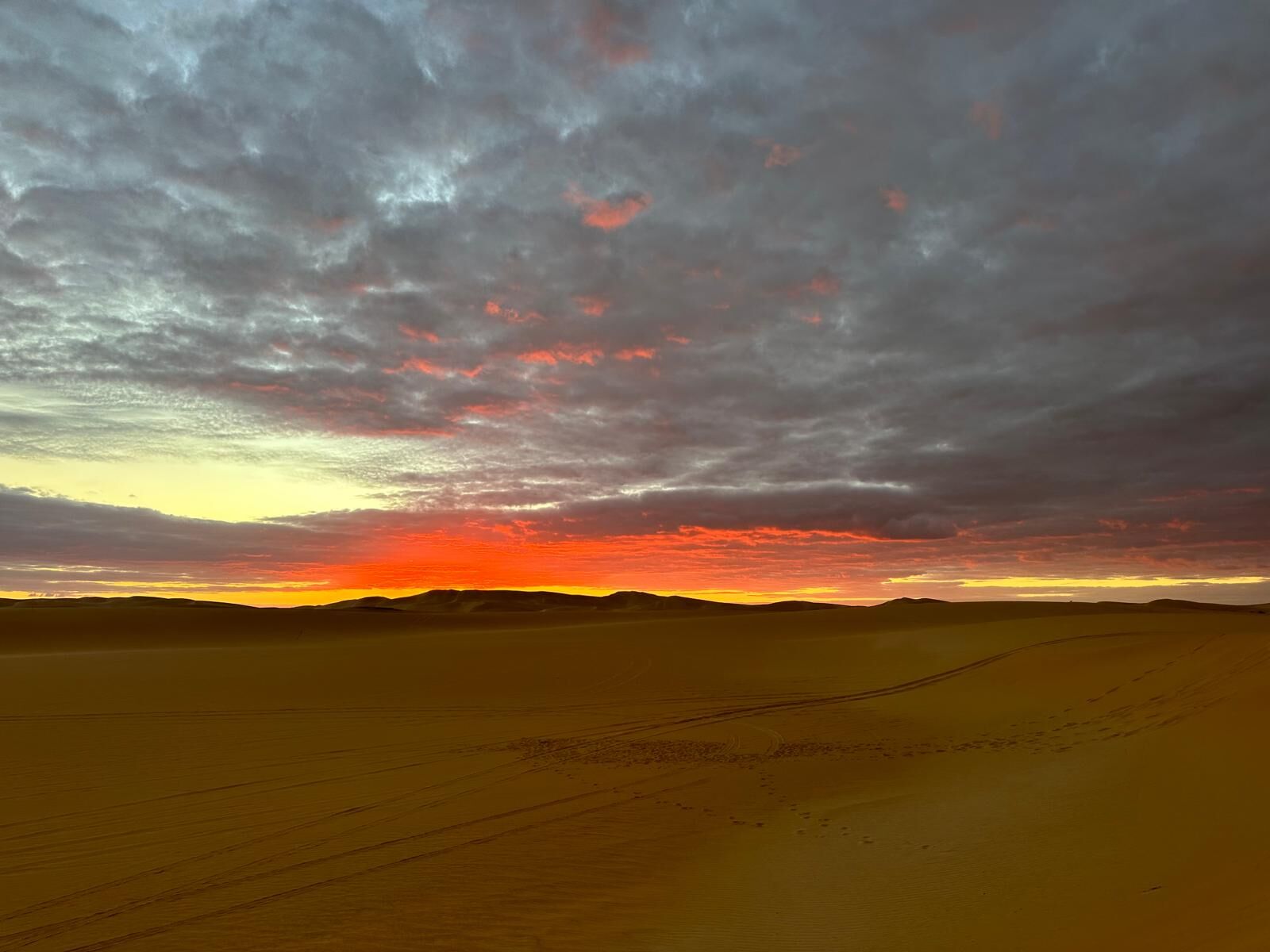 Whatsapp Image 2026 04 07 At 10.12.38 (3)