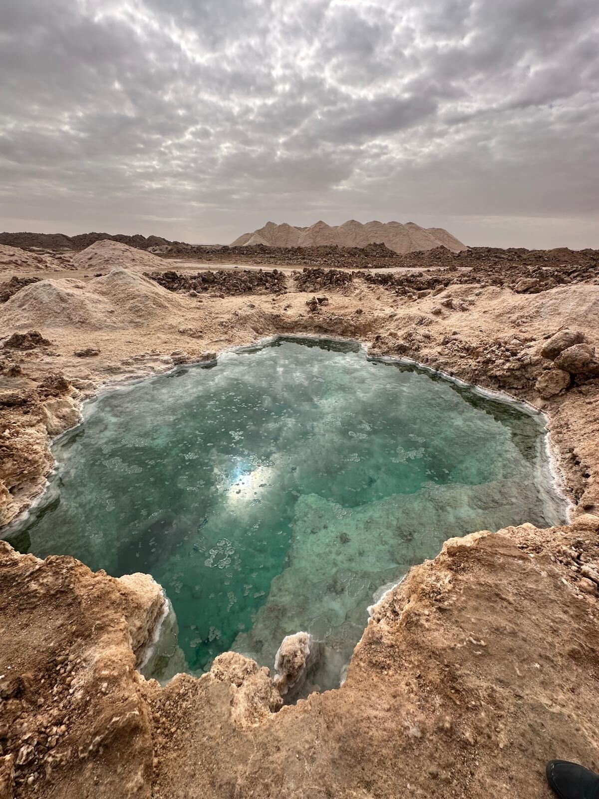 Whatsapp Image 2026 04 07 At 10.12.38 (4)