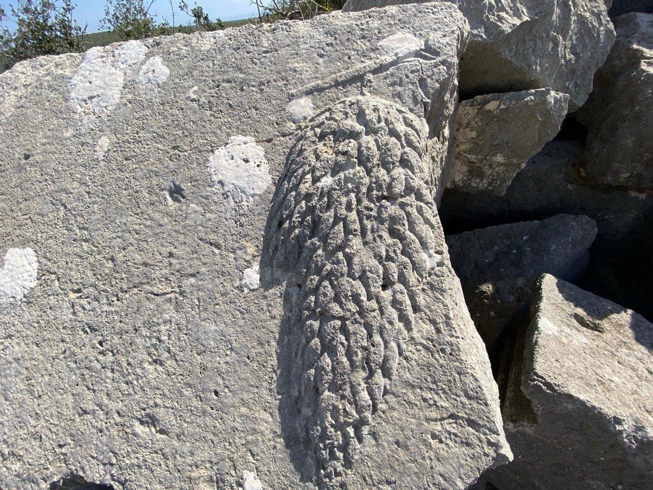 Whatsapp Image 2026 04 23 At 10.52.24 (2)