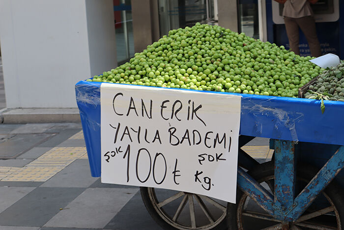 Mersinerik