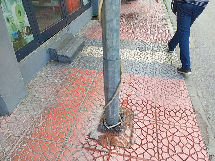 Yosunlaşma Yer (1)