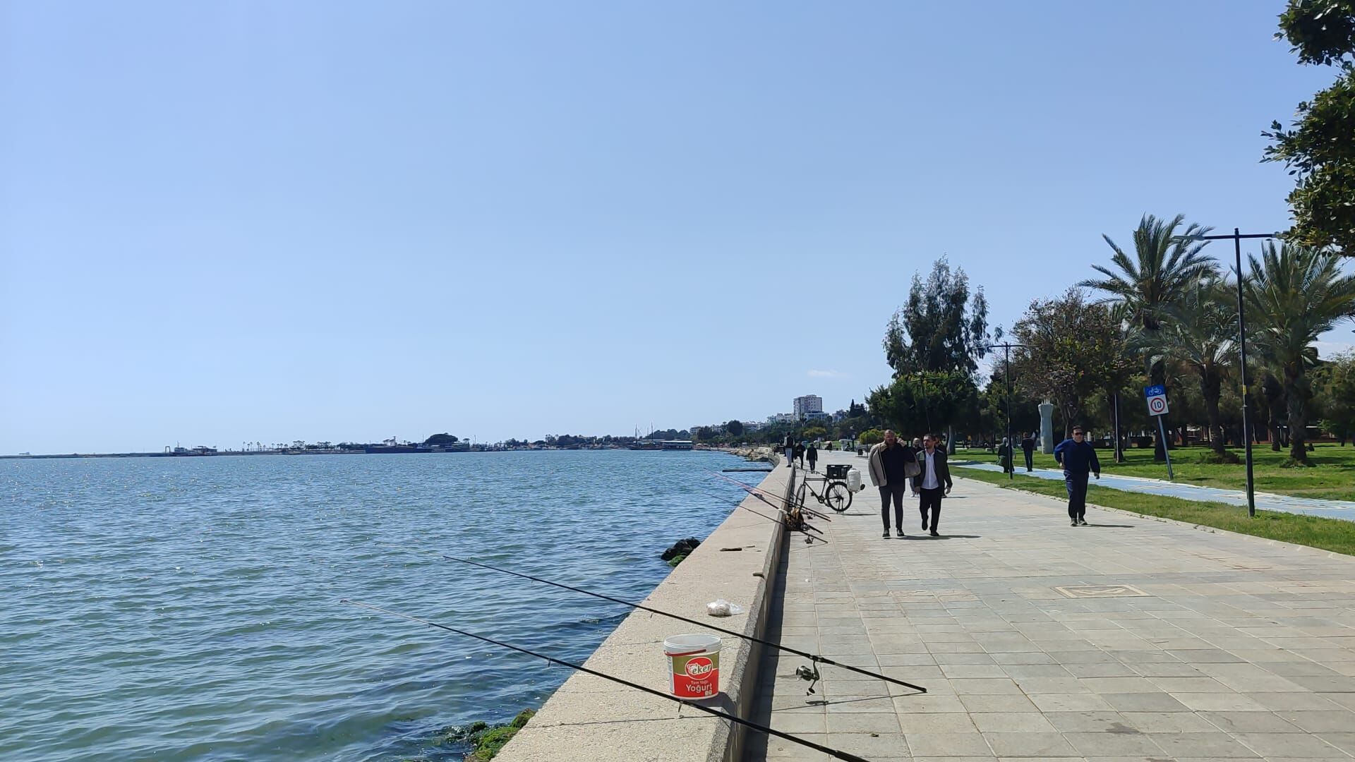 Balık (10)