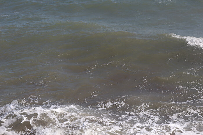 Deniz (3)