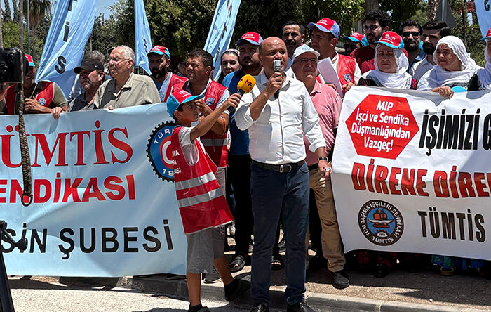 Tümtis (3)