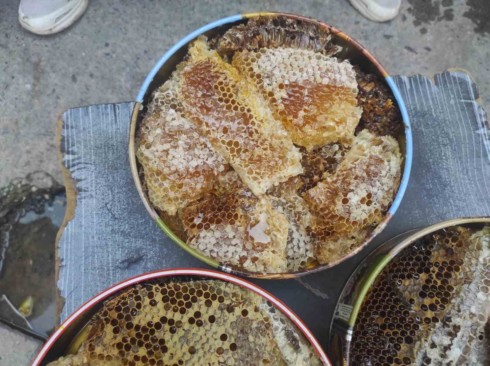 Ağaç kovuklarından çıkan doğal balın kilosu 10 bin liradan satılıyor