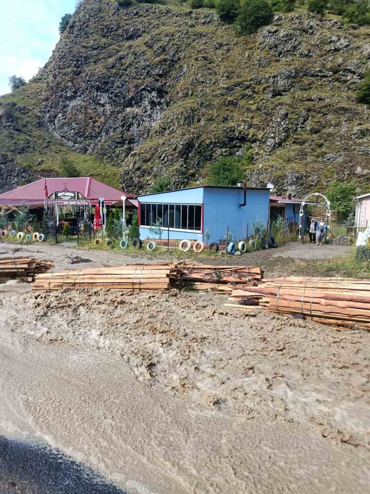 Sağanak yağış Şavşat'ta etkili oldu, cadde ve sokaklar suyla doldu