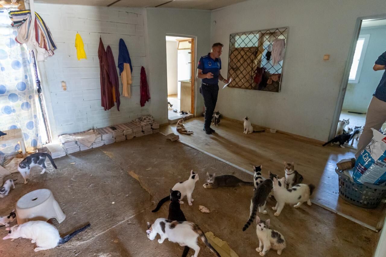 ‘Çöp Ev’ Beklerken ‘Kedi Evi’ Çıktı (2)