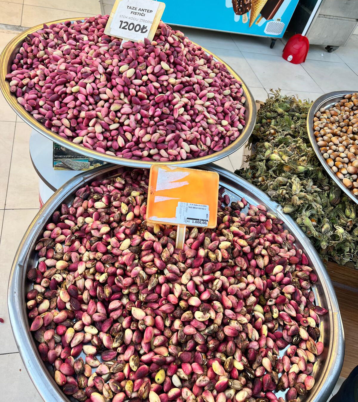 Mersinfındıkfistık (2)