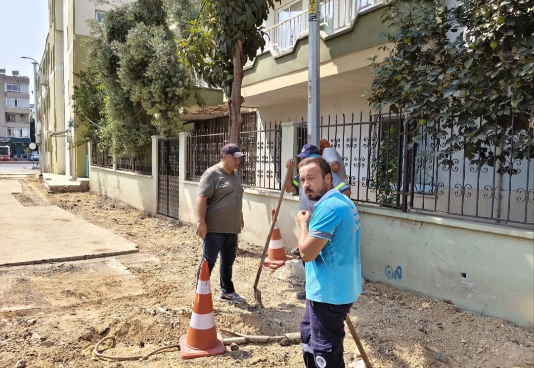 Whatsapp Image 2026 08 29 At 12.00.09