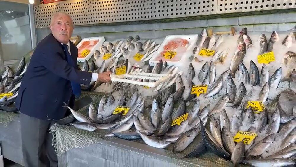 Balık sezonu bereketli başladı: Hamsi 200, palamut 100 liradan başlıyor