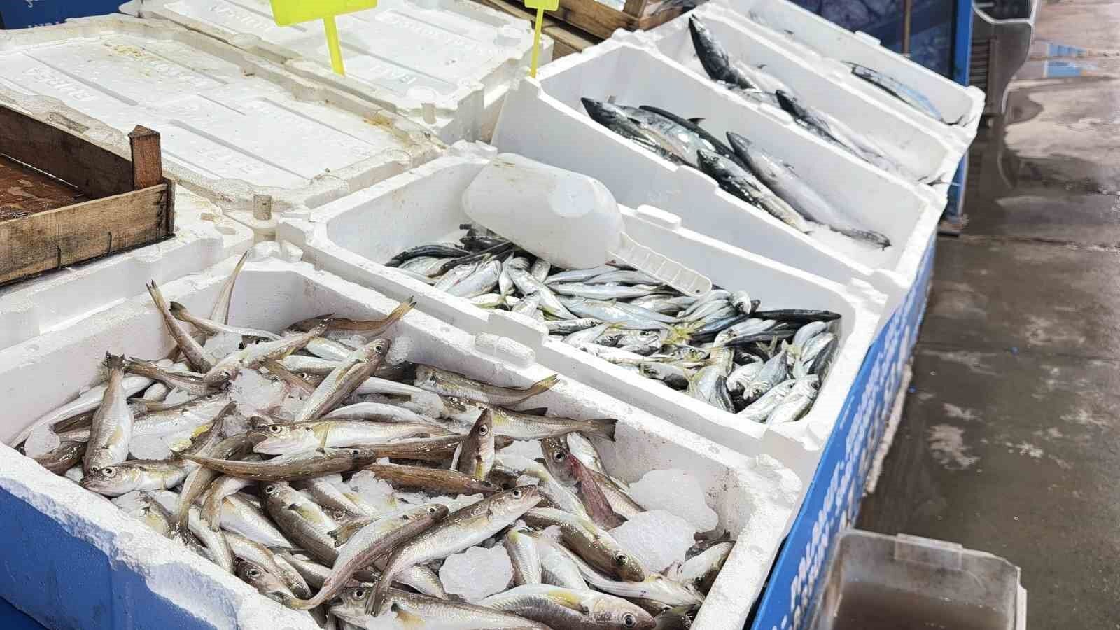 Fırtına balık tezgahlarını hareketlendirdi: Karaburun'da palamut bolluğu