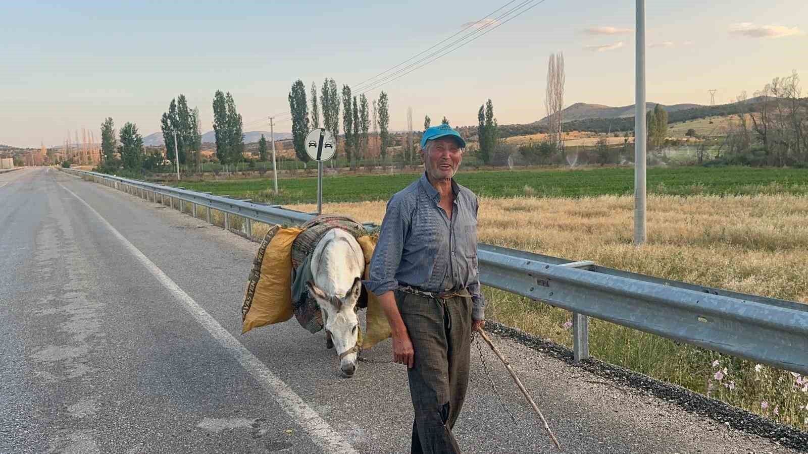 İki dönüm fasulyenin arkasındaki güç: 74 yaşındaki çiftçi ve bir eşek