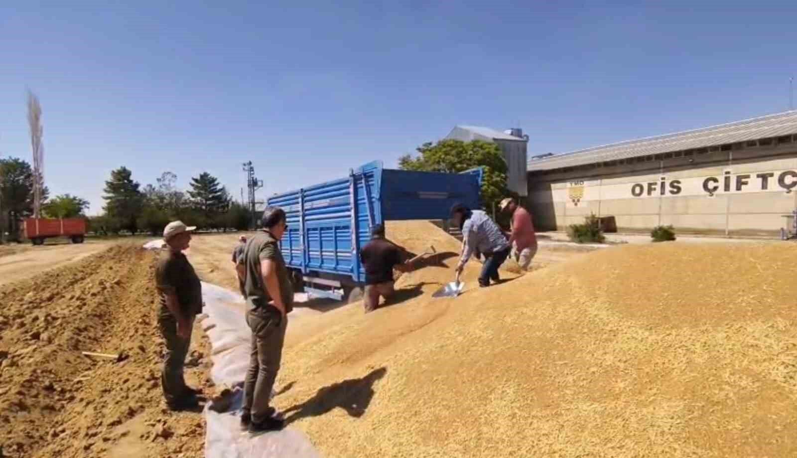 Konya'da TMO'dan 2 milyon tona yakın hububat alımı