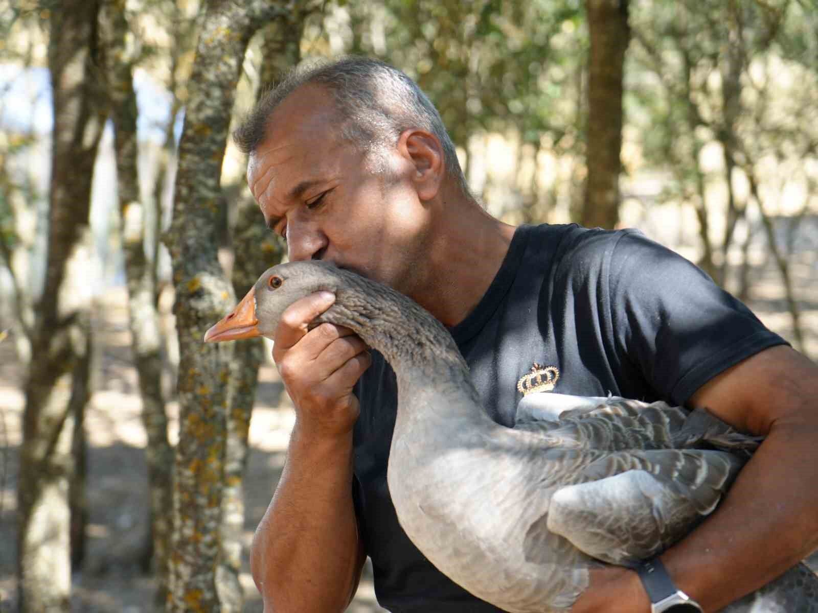 Korona virüs sebebiyle köyüne dönüp kaz çiftliği kurdu, şimdi Kars'a bile kaz gönderiyor