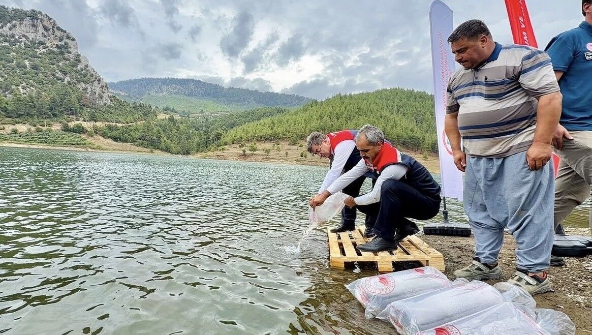 Mersin'de 17 göl ve gölete 347 bin yavru sazan bırakıldı