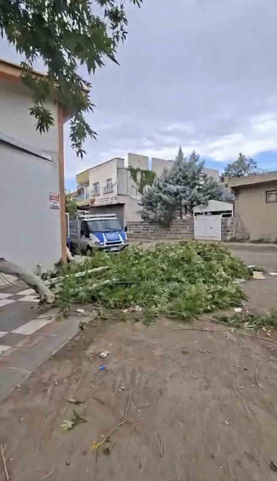 Siverek'te etkili olan fırtına, tarlada çalışan işçilere zor anlar yaşattı