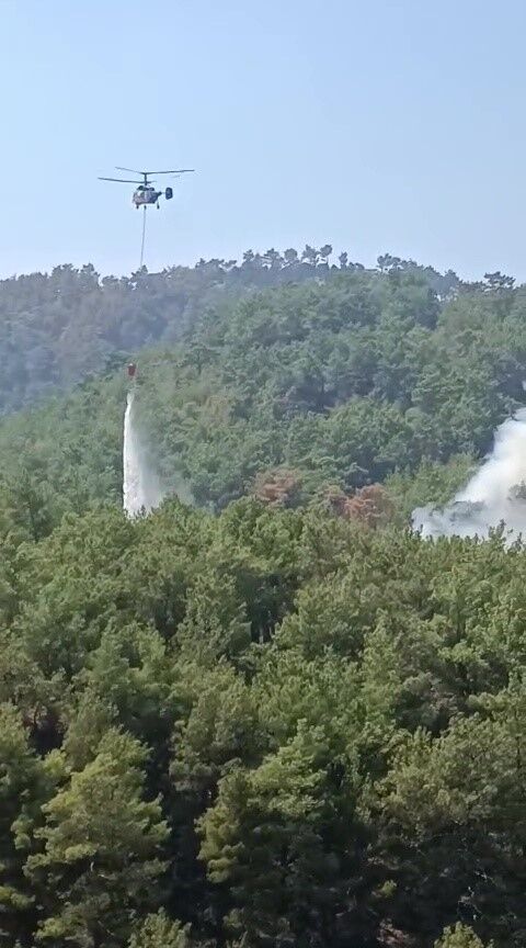 Soğutma çalışmalarının sürdüğü ormanlık alanda yeniden yangın çıktı