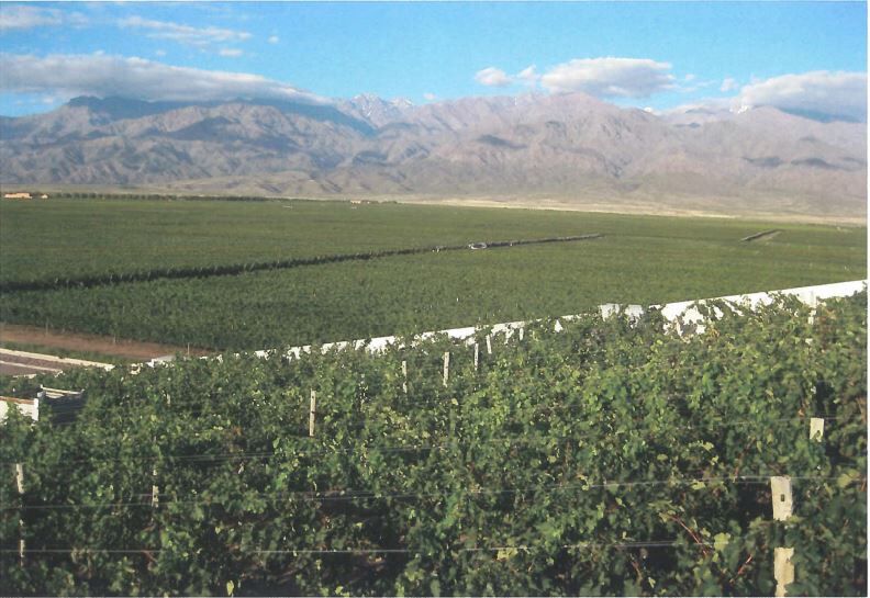 Argentina Uco Valley