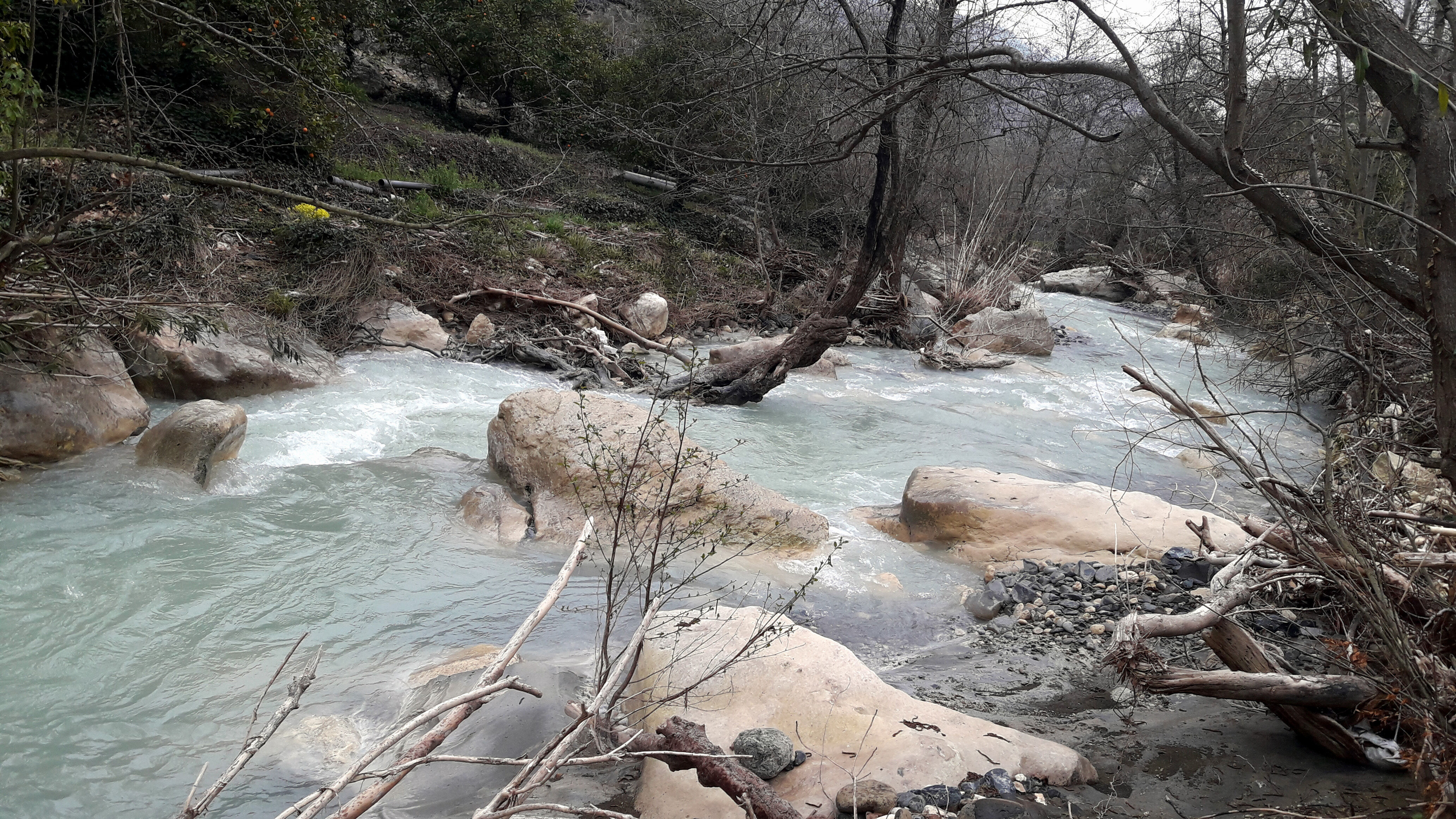 Teceçayı