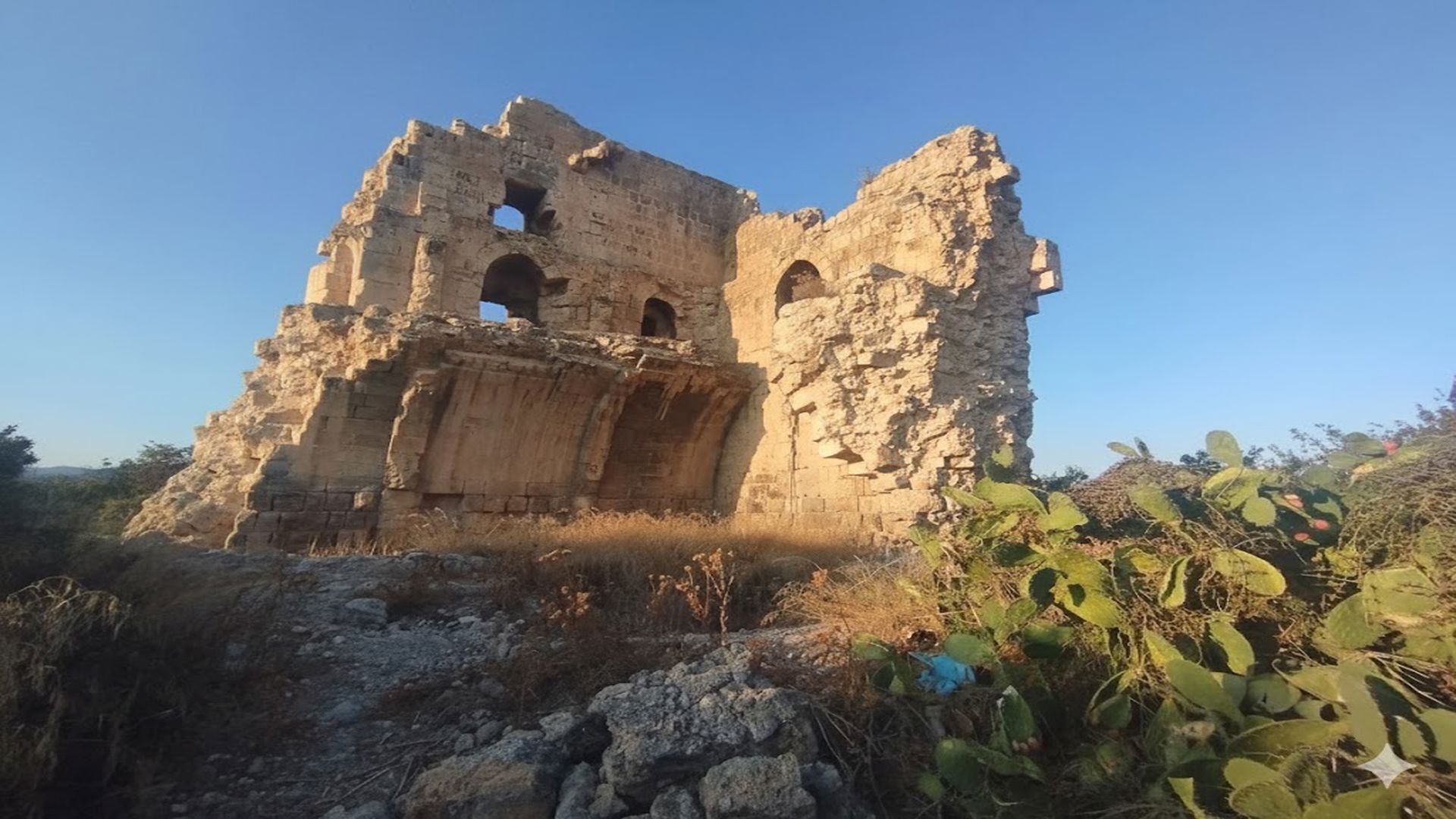 Tecekalesi