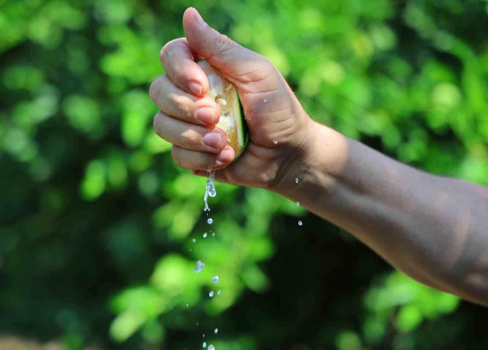 Karadeniz'de gemi trafiği durdu, Adana'da limon ve mandalina dalında kaldı