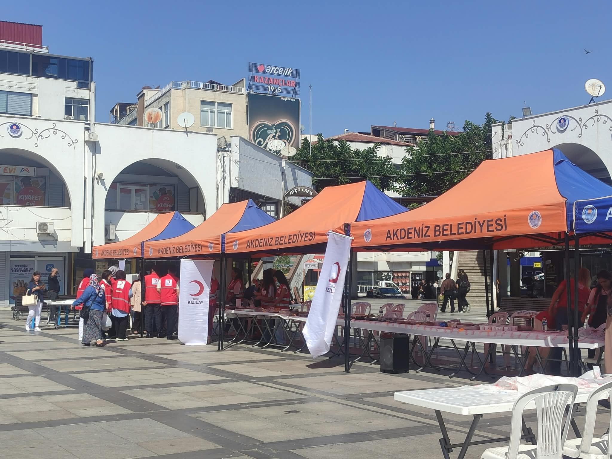 Kızılaykermes (5)
