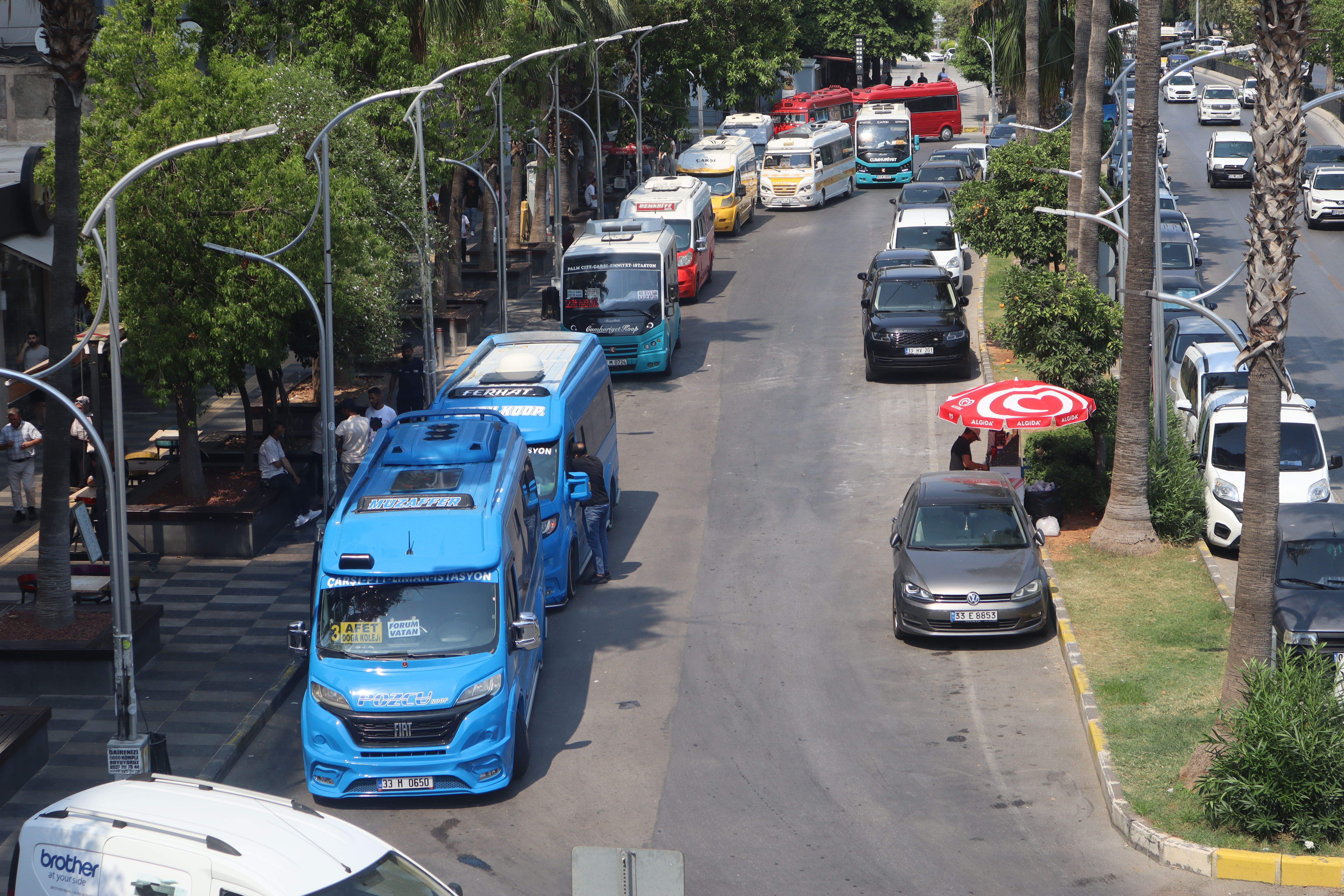 Mersinminibus (3)